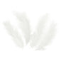 Confetti Pene Lungi, Alb, 50 buc, 512474